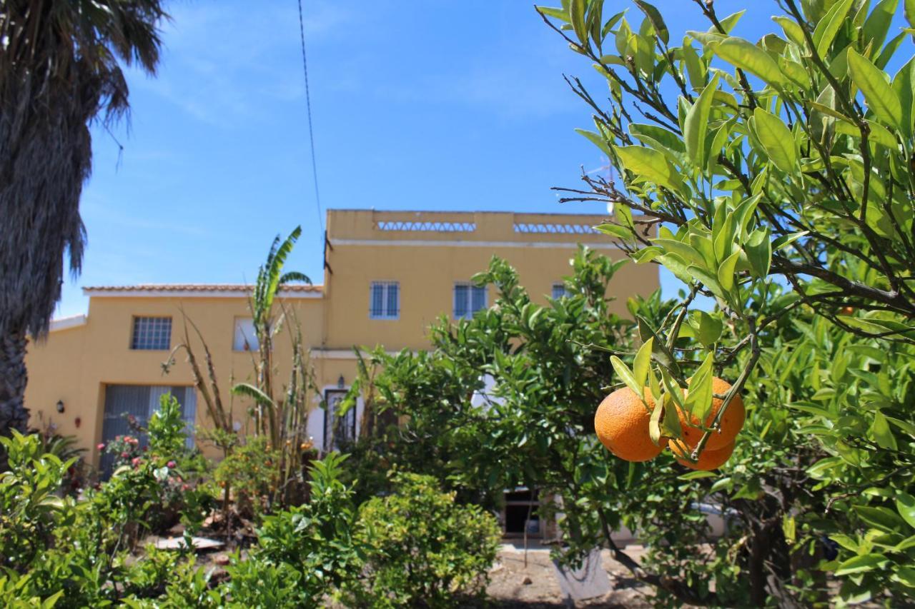 Alojamiento rural Masía Valldepérez L'Ampolla Extérieur photo