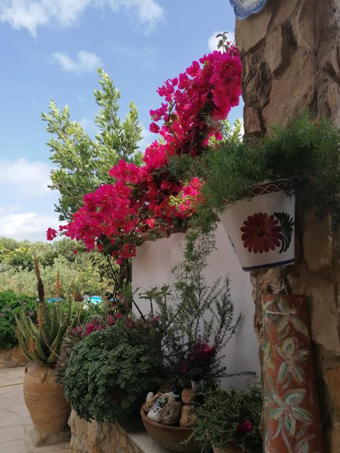 Alojamiento rural Masía Valldepérez L'Ampolla Extérieur photo